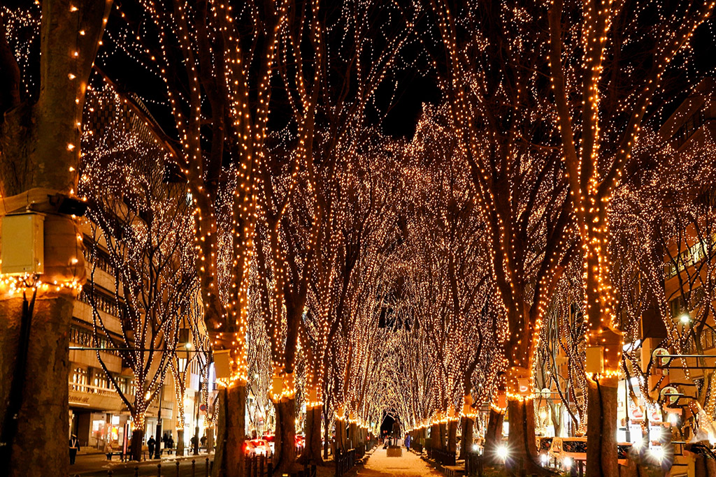 仙台 光のページェント輝くケヤキ並木